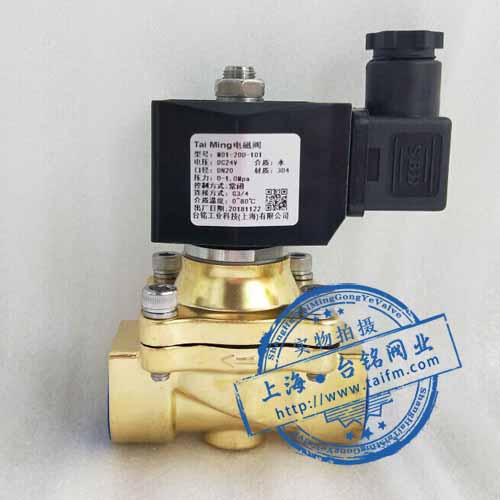 黃銅電磁閥 黃銅電磁閥